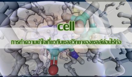 cell การทำความเข้าใจเกี่ยวกับเซลล์วิทยาของเซลล์ต่อมไร้ท่อ